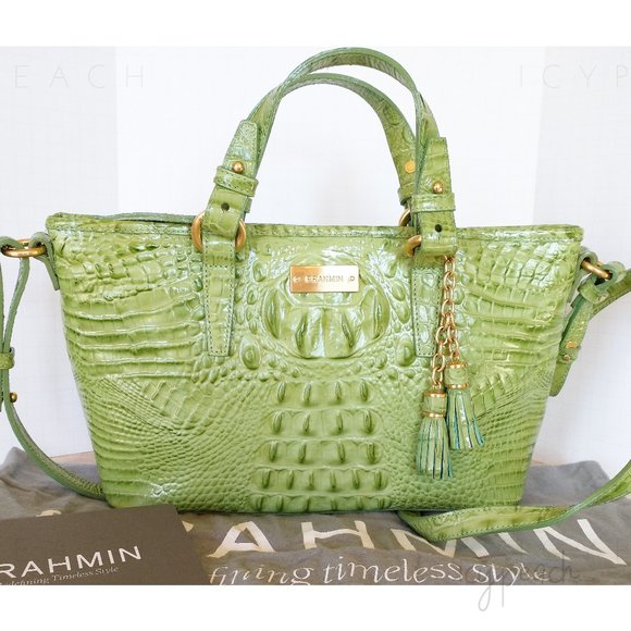 Brahmin Handbags - Brahmin Mini Asher Aloe Glossy Melbourne Leather Satchel Handbag Adjustable